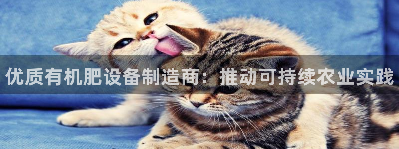 彩神这个平台是真的吗