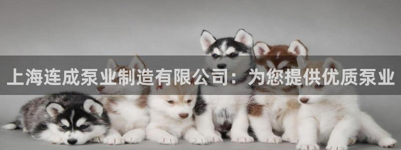 彩神购彩购彩大厅入口v：上海连成泵业制造有限公司：为您提供优质泵业