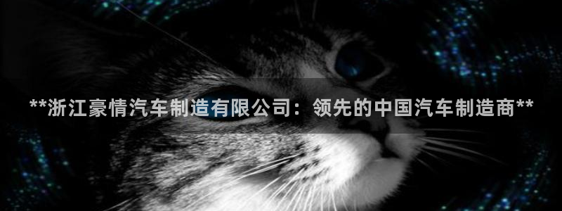 彩神赢钱了吗：**浙江豪情汽车制造有限公司：领先的中国汽车制造商**