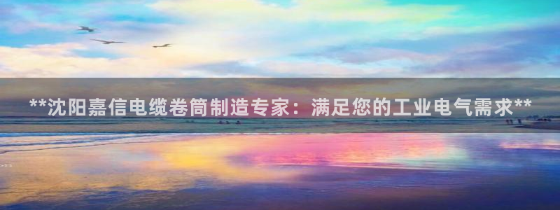 彩神ll能赚钱吗：**沈阳嘉信电缆卷筒制造专家：满足您的工业