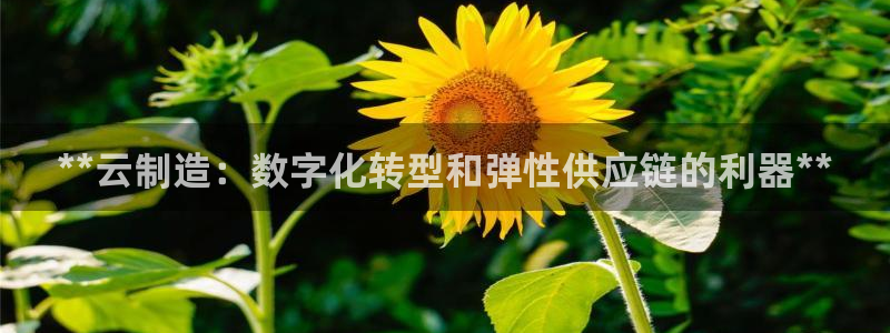 彩神iv能赚钱吗：**云制造：数字化转型和弹性供应链的利器**