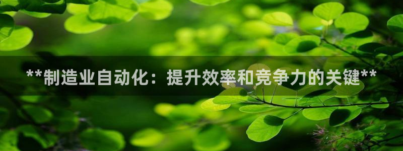 彩神v秘聊号码：**制造业自动化：提升效率和竞争力的关键**
