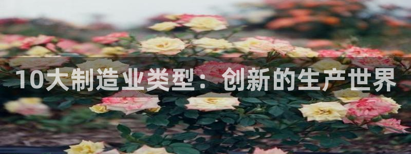 彩神 好 平台：10大制造业类型：创新的生产世界