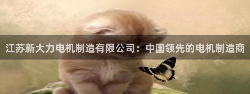 彩神天下专家专栏：江苏新大力电机制造有限公司：中国领先的电机制造商