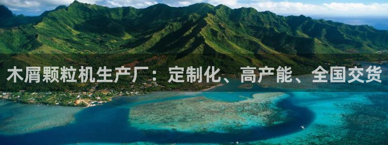 彩神v：木屑颗粒机生产厂：定制化、高产能、全国交货