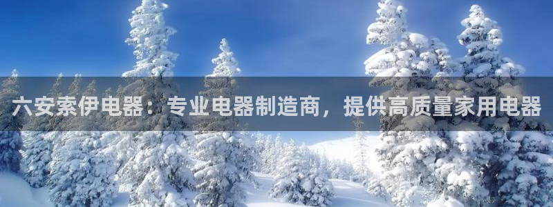大发彩神最高邀请码：六安索伊电器：专业电器制造商，提供高质量家用电器