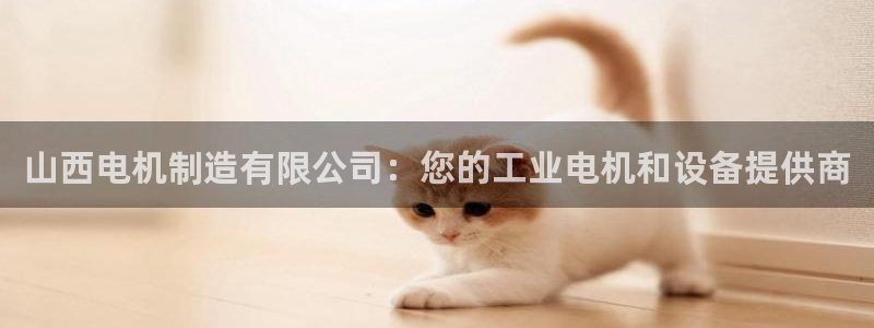 彩神ⅴll是什么样平台：山西电机制造有限公司：您的工业电机和