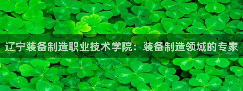 彩神是怎样一个平台：辽宁装备制造职业技术学院：装备制造领域的专家