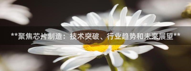 彩神Vll：**聚焦芯片制造：技术突破、行业趋势和未来展望**