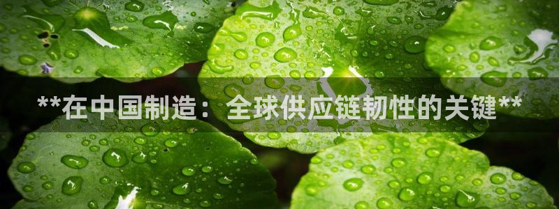 彩神8是正规平台吗安全吗：**在中国制造：全球供应链韧性的关键**