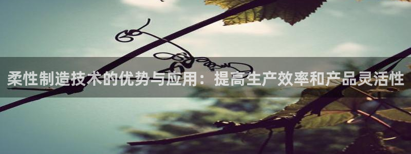 彩神是怎样一个平台：柔性制造技术的优势与应用：提高生产效率和产品灵活性