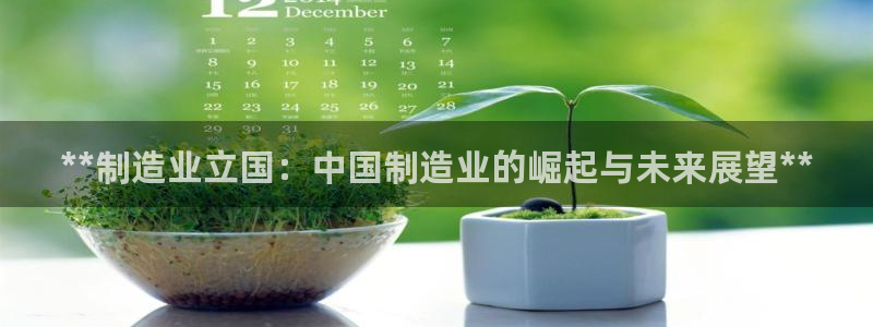 彩神vll官网在线登录：**制造业立国：中国制造业的崛起与未来展望**