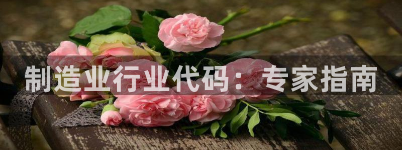 彩神v8是一个什么平台游戏：制造业行业代码：专家指南