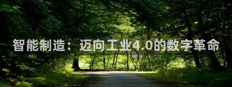 彩神通官方网：智能制造：迈向工业4.0的数字革命