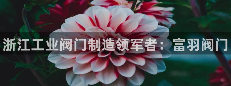 彩神 好 平台：浙江工业阀门制造领军者：富羽阀门