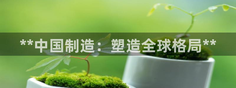 彩神网合法吗：**中国制造：塑造全球格局**