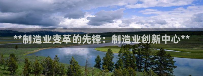 彩神ⅴll是什么样平台：**制造业变革的先锋：制造业创新中心**