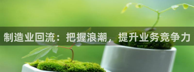 彩神团队是真的吗：制造业回流：把握浪潮，提升业务竞争力