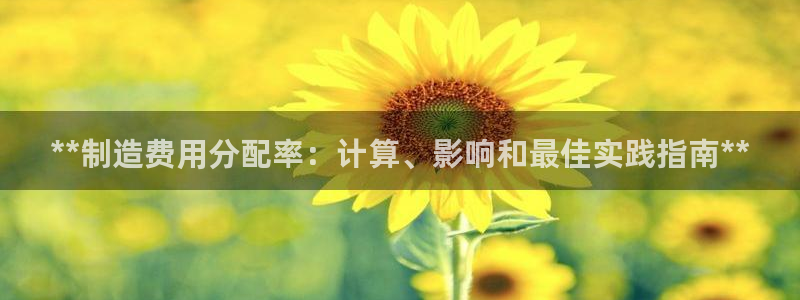 彩神ⅴll用户登录：**制造费用分配率：计算、影响和最佳实践指南**