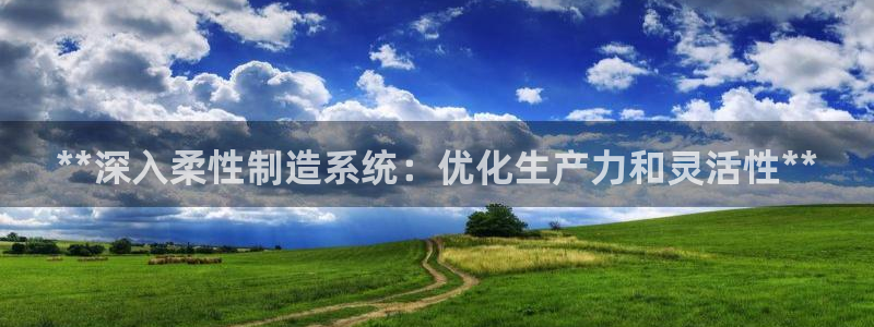 下载彩神乐发V1：**深入柔性制造系统：优化生产力和灵活性**