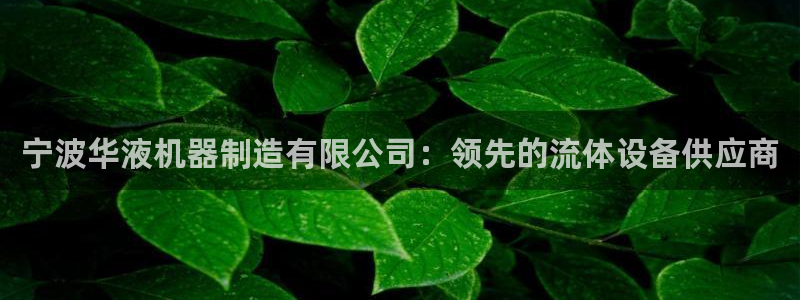 彩神v8下载网址：宁波华液机器制造有限公司：领先的流体设备供应商