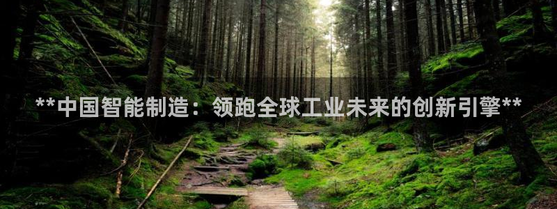 彩神v网赌软件下载：**中国智能制造：领跑全球工业未来的创新引擎**