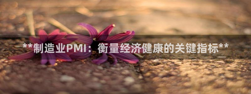 彩神v8是一个什么平台啊