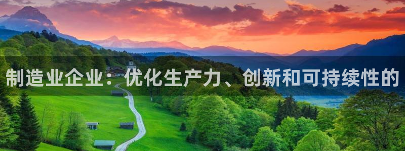 彩神v8手机客户端：制造业企业：优化生产力、创新和可持续性的
