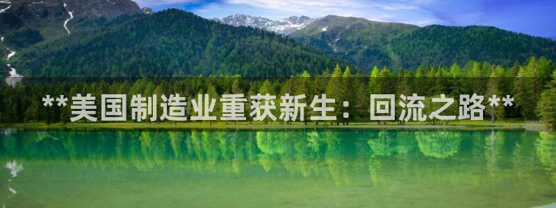 彩神盈利图片：**美国制造业重获新生：回流之路**