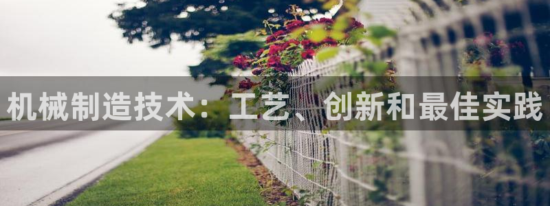 彩神v8是一个什么平台：机械制造技术：工艺、创新和最佳实践