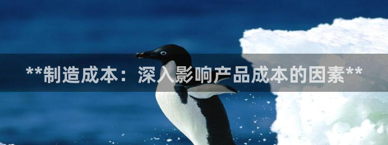彩神合法吗.是国家认可的吗：**制造成本：深入影响产品成本的因素**