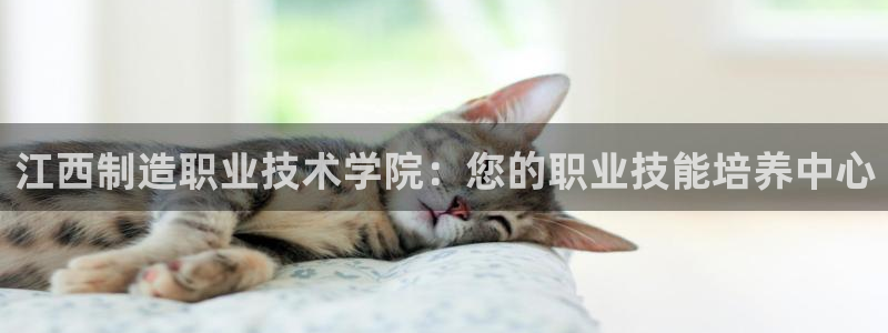 彩神ii官方网：江西制造职业技术学院：您的职业技能培养中心