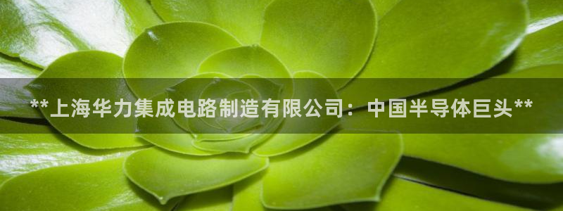 彩神官方邀请码是多少：**上海华力集成电路制造有限公司：中国半导体巨头**