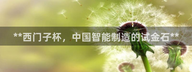 下载彩神争霸谁与我争锋：**西门子杯，中国智能制造的试金石**