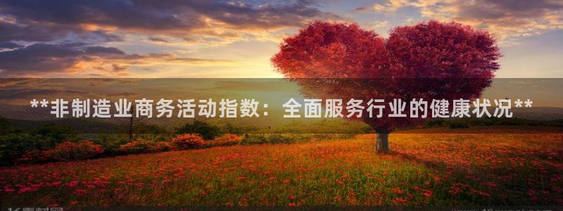 彩神ix平台：**非制造业商务活动指数：全面服务行业的健康状