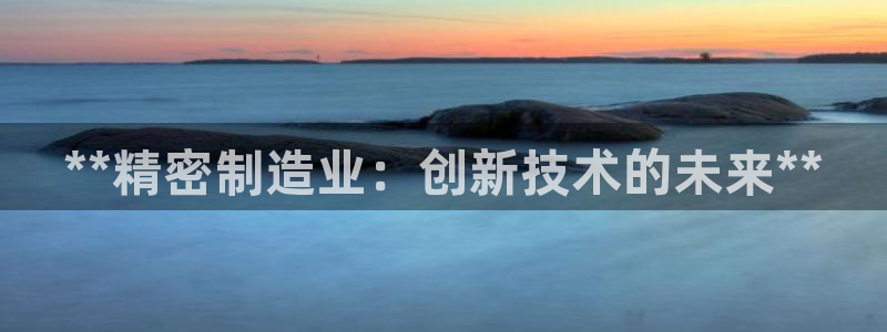 彩神到底能不能赚钱：**精密制造业：创新技术的未来**