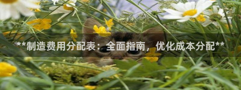 v彩神88iii：**制造费用分配表：全面指南，优化成本分配**