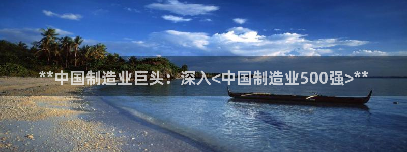 彩神vi官网版：**中国制造业巨头：深入<中国制造业500强>**