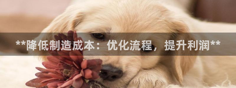 彩神v破解版：**降低制造成本：优化流程，提升利润**