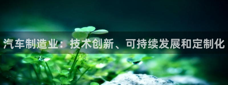 彩神vll官网-最新版app下载：汽车制造业：技术创新、可持续发展和定制化