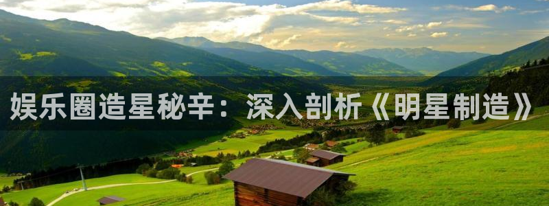 彩神v1破解器：娱乐圈造星秘辛：深入剖析《明星制造》
