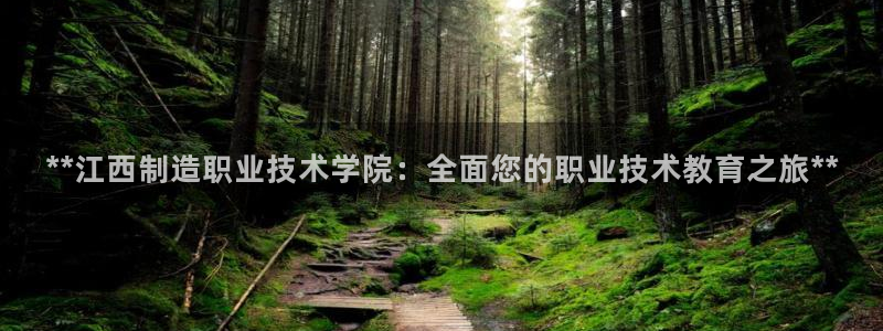 彩神怎么样可以提现：**江西制造职业技术学院：全面您的职业技术教育之旅**