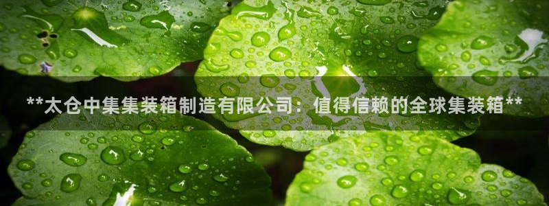 彩神大发cp：**太仓中集集装箱制造有限公司：值得信赖的全球集装箱**
