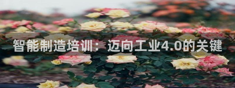彩神邀请码:00-00-3267：智能制造培训：迈向工业4.