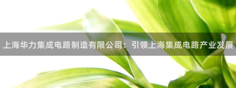 彩神怎么样可以提现：上海华力集成电路制造有限公司：引领上海集成电路产业发展