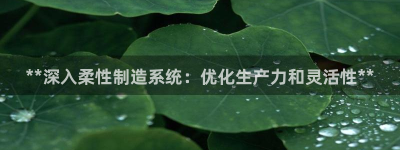 彩神赢钱了吗知乎：**深入柔性制造系统：优化生产力和灵活性**