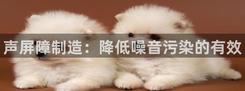 有谁知道彩神争霸的网址：声屏障制造：降低噪音污染的有效