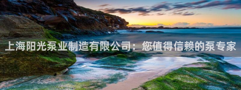 彩神8官网合法吗：上海阳光泵业制造有限公司：您值得信赖的泵专