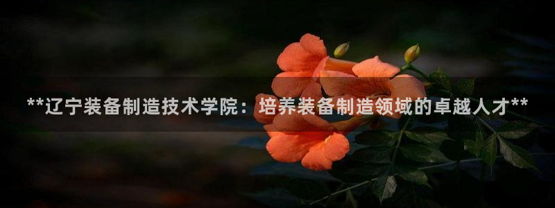 彩神v8是真的挣钱吗安全吗：**辽宁装备制造技术学院：培养装备制造领域的卓越人才**