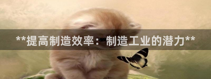 彩神大发如何观察走势：**提高制造效率：制造工业的潜力**